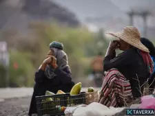 冲突中的韧性：也门女性如何引领创业革命