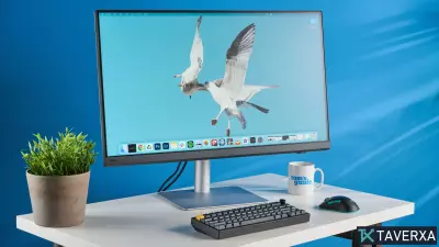 The Best Monitors of 2026: Top Displays for Gaming, Productivity, and Creative Work