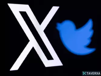 블루 버드의 유산: 20년간의 저널리즘, 혁명, 그리고 트위터에서 X로의 전환