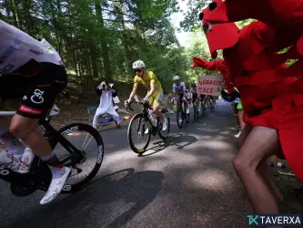 Kryzys wypadków na Tour de France: dlaczego protokoły dotyczące wstrząsów mózgu na poboczach dróg zawodzą kolarzy