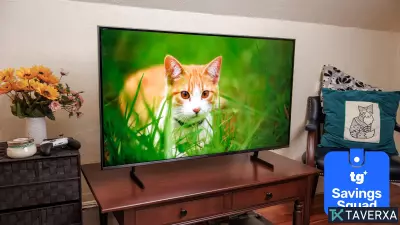 5 Best Affordable TVs for College Students on a Budget