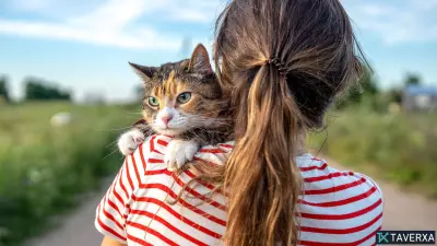 Paws and Prompts: 7 Creative ChatGPT Prompts to Celebrate International Cat Day
