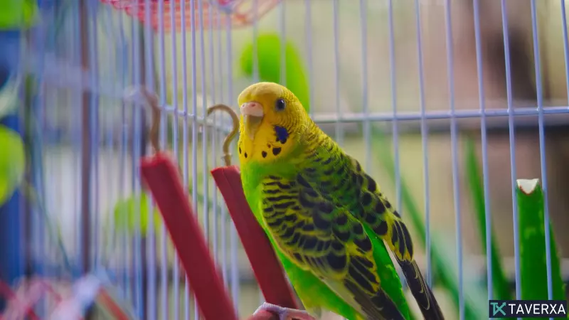 Mastering ChatGPT Workflow: How the 'Bird Cage' Prompt Keeps Projects Focused