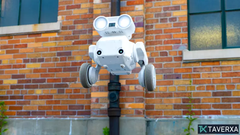 Beni: The All-Terrain Camera Robot Transforming Solo Content Creation