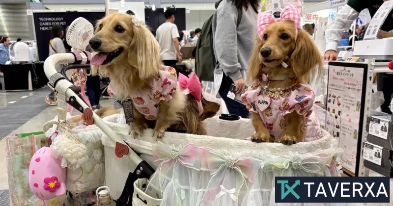 L’essor fulgurant du secteur des soins pour animaux de compagnie au Japon : quand les « bébés à fourrure » ​​dépassent les nourrissons humains